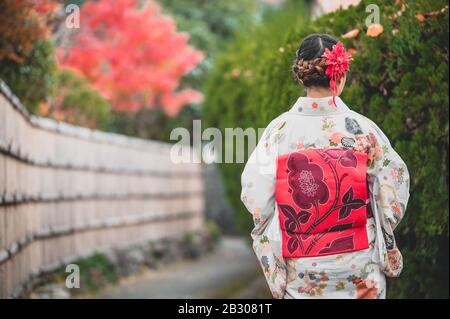 Junge Frauen, die im Herbst traditionellen japanischen Kimono mit bunten Ahorn-Bäumen tragen, sind berühmt in Herbst-Farbblättern und Kirschblüten im Frühjahr, Kyo Stockfoto