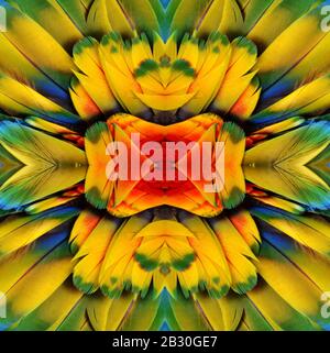 Abstraktes symmetrisches Muster der bunten Federn eines Vogels. Das Bild hat einen Spiegeleffekt mit einem kaleidoskopischen Muster als Hintergrund. Stockfoto