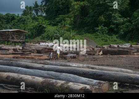 Verlassenes malaysisches Holzfällerlager, Makira (Cristobal) Island, Salomonen Stockfoto