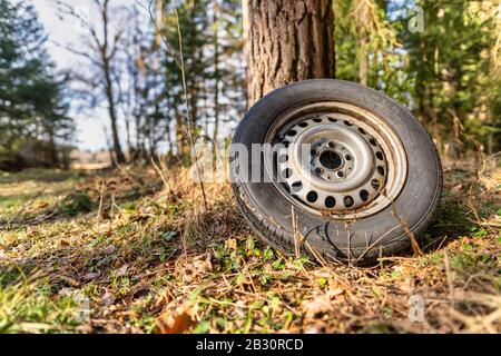 Abfall- und Naturverschmutzung, ein Vergehen der Umwelt in einem Wald, ein hinterer Reifen. Stockfoto