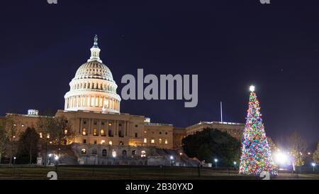 Vorderseite des Kapitolgebäudes der Vereinigten Staaten mit dem Capitol Weihnachtsbaum, der nachts beleuchtet ist, vor dem Gebäude. Stockfoto