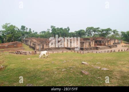 Ratnagiri, Orissa, Indien, Dezember 2019, Allgemeine Ansicht des Klosters Nr. 2, buddhistische Stätte, 9. Jahrhundert n. Chr Stockfoto