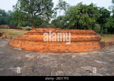 Allgemeiner Blick auf den unteren Teil von Brick Stupa im Kloster Nr. 3, Ca. 9. Und 10. Jahrhundert n. Chr., Udayagiri, Orissa Stockfoto