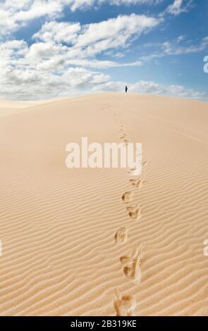 Stockton Sanddünen in der Nähe von newcastle Australia Stockfoto