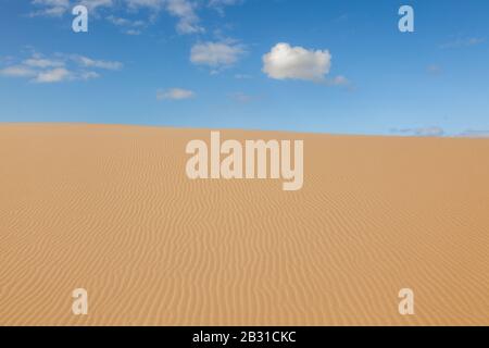 Stockton Sanddünen in der Nähe von newcastle Australia Stockfoto