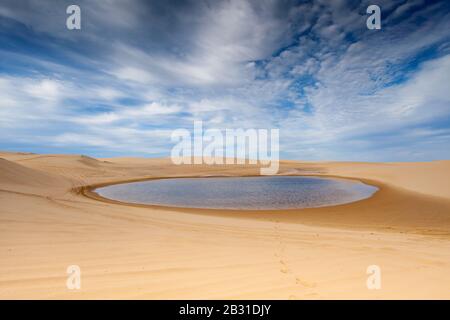 Stockton Sanddünen in der Nähe von Newcastle, nsw australien Stockfoto