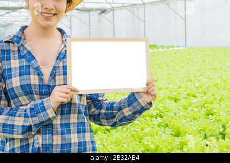 Leeres kleines weißes Brett auf grünem Gemüse in der Hypogener Biofarm mit einem Teil asiatischer Männer und Frauen, die im Hintergrund neben der grünen Salatfarm stehen Stockfoto