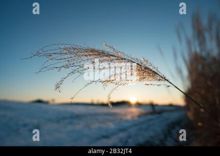 Impressionen aus einem schönen schneebedeckten Winterwunderwald mit Sonnenstrahlen Stockfoto