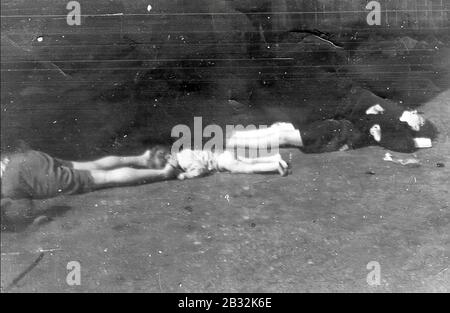 Leichen jüdischer Kinder, die bei der Liquidation des Ghettos Węgrów im September 1942 ermordet wurden. Stockfoto