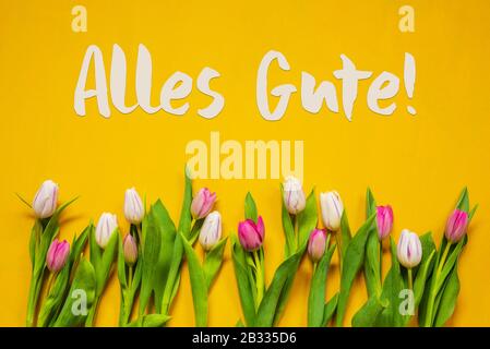 Buntes Tulip, Text Alles Gute Bedeutet Beste Wünsche, Gelber Hintergrund Stockfoto