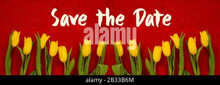 Baner Gelber Tulpenblumen, Roter Hintergrund, Text Speichern Sie Das Datum Stockfoto
