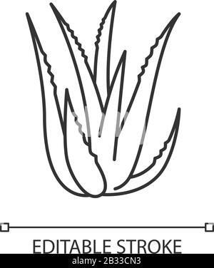 "Aloe vera Pixel Perfect linear"-Symbol. Saftig wachsende Sprossen. Heilkraut für Hautpflege. Anpassbare Abbildung mit dünner Linie. Kontursymbol Stock Vektor
