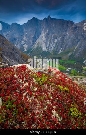 Herbstfarben und Bergwelt im Romsdalen Tal, Rauma Kommune, Møre og Romsdal, Norwegen. Stockfoto