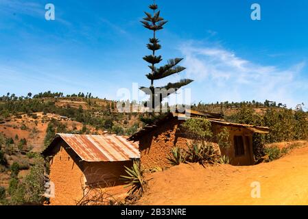 Lokales Wohnhaus in den Usambara-Bergen Stockfoto