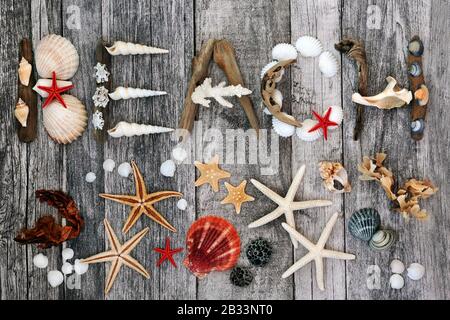 Abstrakt aus Treibholz, Seeschellen, Algen und Kieselsteinen, die das Wort Strandleben mit lockeren Schalen auf rustikalem Holz bilden. Reise- und Urlaubskonzept. Stockfoto