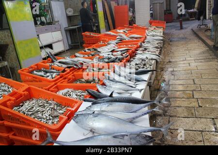 Haifa, Israel - 27. Dezember 2019: Der frischeste und köstlichste mediterrane Fisch, der auf dem Nachtmarkt der Hafenstadt verkauft wird Stockfoto