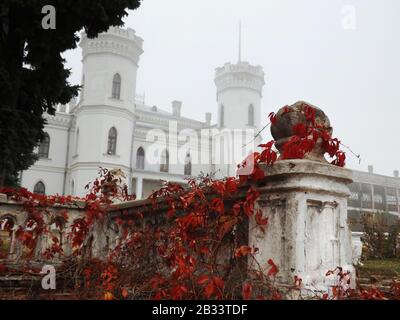 Herbst rote Traubenblätter auf der Terrasse des alten weißen Herrenhauses Sharovka Ukraine Villa Schloss im Nebel schönes Herbstlaub Stockfoto