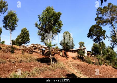 Lokales Wohnhaus in den Usambara-Bergen Stockfoto