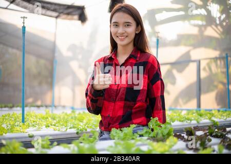 Lächelnde asiatische Frau Bauer im Gewächshaus Hydroponic Bio.Kleinunternehmer und Bio-Gemüsebau und gesundes Lebensmittelkonzept Stockfoto