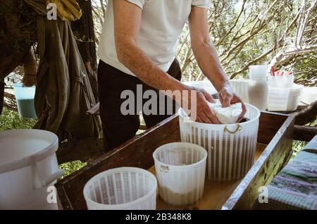 Details des Mannes, der im Freien auf traditionelle Art und Weise Hüttenkäse anstellt. Traditionelle Ricotta-Produktion auf Sizilien an der Madonie. Stockfoto