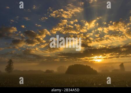 Federsee bei Sonnenaufgang, Deutschland, Baden-Württemberg, Bad Buchau Stockfoto