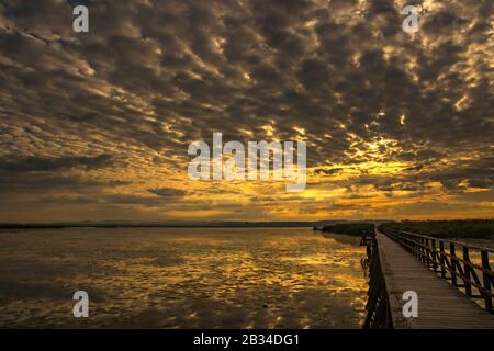 Federsee bei Sonnenaufgang, Deutschland, Baden-Württemberg, Bad Buchau Stockfoto