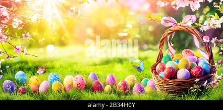Ostern Bemalte Eier In Korb Auf Gras In Sunny Orchard Stockfoto