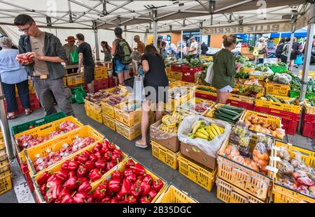 Grüner Stall am Sonntagmarkt in Motueka, Tasman District, South Island, Neuseeland Stockfoto