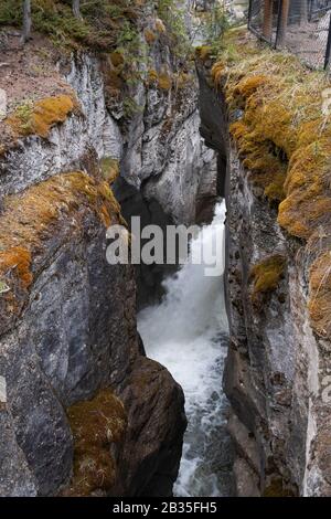 Der Maligne River, während er durch die tiefen Schluchten des Maligne Canyon im Jasper National Park in Alberta Kanada fließt. Stockfoto