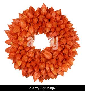 Herbstlicher Kranz mit Physalis (Physalis alkekengi) auf Weiß Stockfoto