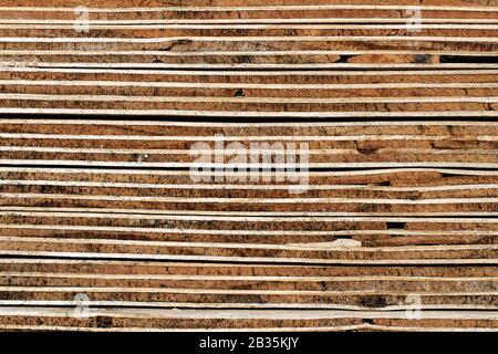 Sperrholzhintergrund: Verwitterter Querschnitt aus gehütteten Sperrholzplatten - Detail:Holzhintergrund, der die Detailansicht der gehütteten Sperrholzplatten zeigt Stockfoto