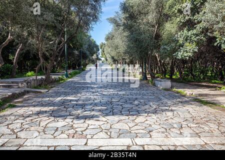 Gepflasterter Fußweg aus altem Marmorstein am Phiilopappou-Hügel in Athen, Griechenland. Die Menschen gehen an einem sonnigen Tag einen Kopfsteinpflaster unter der alten Akropolis. Bäume a Stockfoto