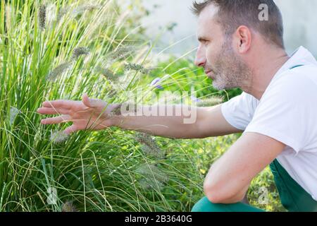 Arbeitsmann kümmert sich um Gras Stockfoto