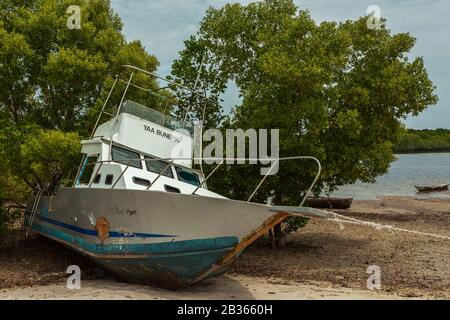 Ein sturmbeschädigtes Boot, "Yaa Buneya", liegt neben Mangrovenbäumen am Ufer gestrandet, Kenia. Stockfoto