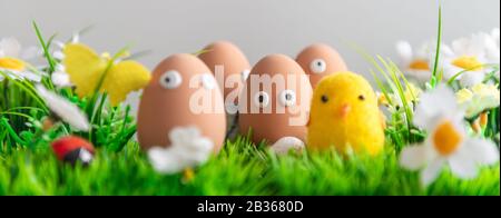 Fröhliche Ostereier unter dem Frühlingsgras mit Blumen auf isoliertem grauem Hintergrund, Ostereierjagd, Rahmen, Eierfiguren mit lustigen Gesichtern, Happy E Stockfoto