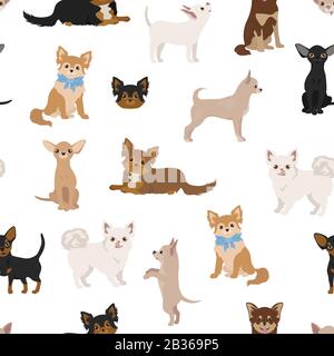 Chihuahua Hunde nahtloses Muster. Verschiedene Farbvarianten. Vektorgrafiken Stock Vektor