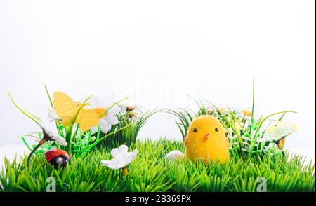Fröhliche Ostereier in einer Reihe unter dem Frühlingsgras mit Blumen auf isoliertem weißem Hintergrund, Rahmen, Rand, Ei-Figuren mit lustigen Augen, Happy E Stockfoto