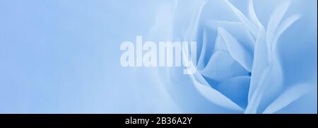 Verschwommene, zarte, weiche Rosenblätter auf verschwommenem, klassisch blauem Hintergrund. Blumenvorlage mit weichem, verschwommener Effekt und Kopierbereich zum Feiern von Valentinstag, Muttertag, Hochzeit und Geburtstag Stockfoto