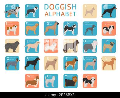 Doggisches Alphabet für Hundefreunde. Buchstaben des Alphabets mit den Namen der Hunderassen. Vektorgrafiken Stock Vektor