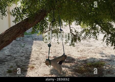 Ein Schmutziger Kinderbaum Swing. Holzschwinge Noch Unter Den Bäumen In Den Herbstlaub Und Im Winter. Holzschwinge An Seilen Unter Dem großen Baum In EINEM Schattigen Sa Stockfoto