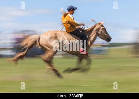 Mongolia, Provinz Khovsgol, Tsagaannuur, Naadam-Festival, Pferderennen, junger Galoppteilnehmer Stockfoto