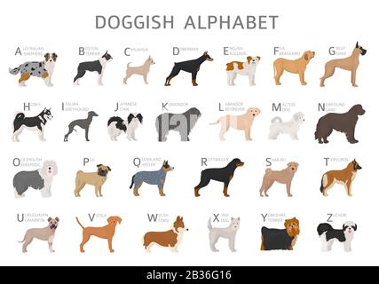 Doggisches Alphabet für Hundefreunde. Buchstaben des Alphabets mit den Namen der Hunderassen. Vektorgrafiken Stock Vektor