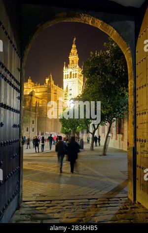 Spanien, Andalusien, Sevilla, Santa Cruz Viertel, Giralda Minarett, Meisterwerk der Almohad Architektur und die Kathedrale, die von der UNESCO zum Weltkulturerbe ernannt wurde, Blick von der Terrasse de Banderas Stockfoto