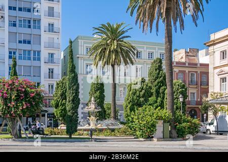 Cadiz, Spanien - 6. November 2019: Platz Plaza de las Tortugas mit seinem markanten Brunnen, mediterranen Pflanzen und einem Gebäude der Bibliothek Biblio Stockfoto