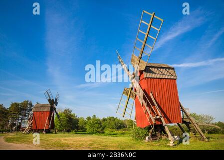 Schweden, Insel Oland, Storlinge, antike Holzwindmühlen Stockfoto