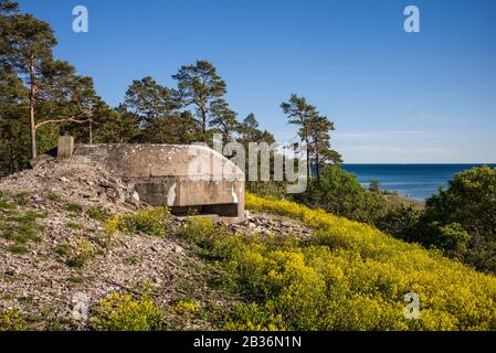 Schweden, Gotland Island, Bungenas, ehemalige Kreidemine und Militärbasis, jetzt ein exklusiver Ferienbau und Naturreservat, ehemaliger Militärbunker Stockfoto
