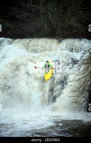 Ein Kajaker nutzt das Hochwasser auf dem Fluss Melle bei Pontneddfechan, um die Sgwd y Pannwr fällt in den Brecon Beacons, Wales UK, zu befahren Stockfoto