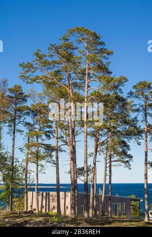 Schweden, Gotland Island, Bungenas, ehemalige Kreidemine und Militärstützpunkt, jetzt ein exklusives Ferienbaugebiet und Naturreservat, Feriendomizil Stockfoto