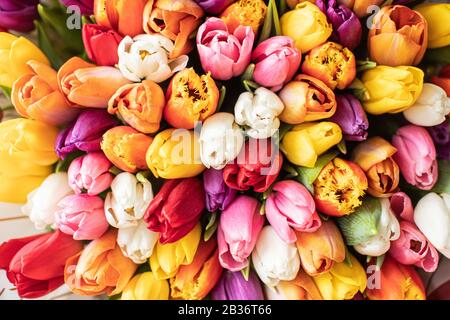 Nahaufnahme Großer Wunderschöner Blumenstrauß aus gemischten Tulpen. Blumenhintergrund und Hintergrundbild. Blumengeschäft Konzept . Wunderschöner, frisch geschnittener Blumenstrauß. Blumen Lieferung Stockfoto