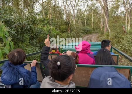 Sauraha, Nepal - 20. Januar 2020: Menschen auf einer Jeep-Safari im Chitwan-Nationalpark in Nepal Stockfoto